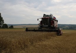 Уборочная и кормозаготовительная кампании завершаются в Нижегородской области