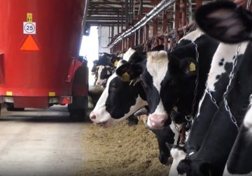 Нижегородская животноводческая компания присоединилась к федеральному проекту «Производительность труда» Нижегородская животноводческая компания присоединилась к федеральному проекту «Производительность труда»