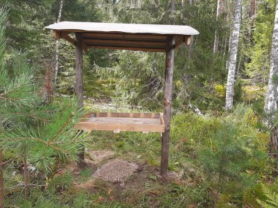 В лесах Нижегородской области началась подкормка птиц