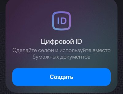 Нижегородцы могут подтвердить свой возраст в магазинах через мессенджер Max