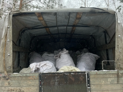 В нижегородских лесах ликвидируют 31 несанкционированную свалку в рамках акции «Чистый лес»