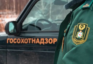 Более 30 нарушений в сфере охоты выявлено в Нижегородской области с начала года