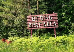 Минлесхоз напоминает о соблюдении правил пожарной безопасности в лесах в период майских праздников