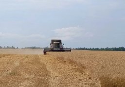 Уборочная кампания стартовала в Нижегородской области Уборочная кампания стартовала в Нижегородской области
