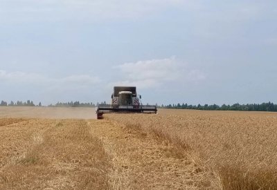 Уборочная кампания стартовала в Нижегородской области Уборочная кампания стартовала в Нижегородской области