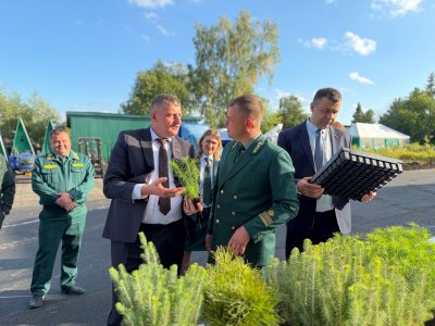 В Богородском округе заложена памятная посадка в знак единства лесоводов Нижегородской и Могилёвской областей