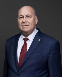 Ларин Михаил Васильевич Ларин Михаил Васильевич