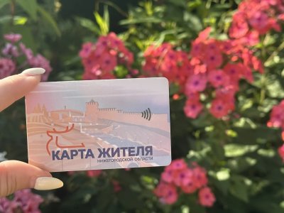 Более 350 тысяч граждан стали пользователями «Карты жителя Нижегородской области» к середине 2026 года