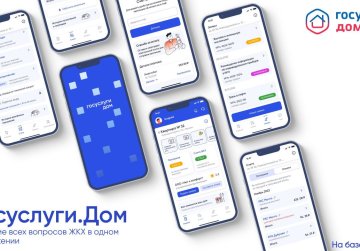 Около 330 тысяч нижегородцев уже пользуется приложением «Госуслуги Дом»