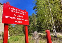 Минлесхоз напоминает нижегородцам о соблюдении правил пожарной безопасности в лесах в преддверии выходных Минлесхоз напоминает нижегородцам о соблюдении правил пожарной безопасности в лесах в преддверии выходных