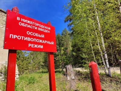Минлесхоз напоминает нижегородцам о соблюдении правил пожарной безопасности в лесах в преддверии выходных Минлесхоз напоминает нижегородцам о соблюдении правил пожарной безопасности в лесах в преддверии выходных