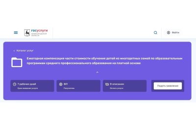Многодетные семьи Нижегородской области могут оформить в онлайн-формате компенсацию части платного обучения детей в техникумах