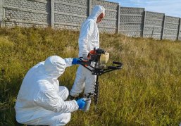 Более 200 скотомогильников ликвидировано в Нижегородской области за 2023 год Более 200 скотомогильников ликвидировано в Нижегородской области за 2023 год