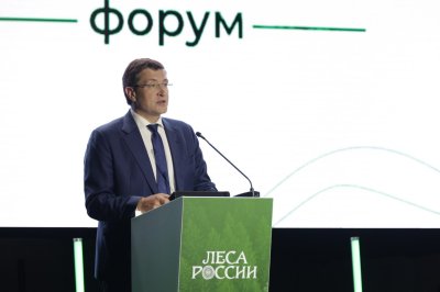 Предварительные итоги работы лесного хозяйства РФ в 2025 году подводят в Нижнем Новгороде на всероссийском форуме «Леса России» Предварительные итоги работы лесного хозяйства РФ в 2025 году подводят в Нижнем Новгороде на всероссийском форуме «Леса России»