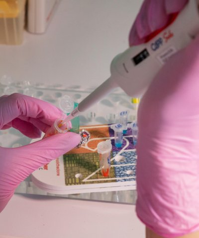 Нижегородским ученым представили задачи и перспективы нового профильного министерства