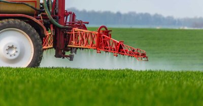 Глеб Никитин: «Наши аграрии, особенно в прошлом году, заслужили того, чтобы о них говорить в первую очередь»