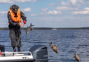 Нижегородская область присоединится к Всероссийскому Дню без сетей Нижегородская область присоединится к Всероссийскому Дню без сетей