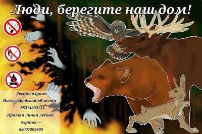 В Нижегородской области завершился региональный интернет-проект для школьников «Лес будущего»
