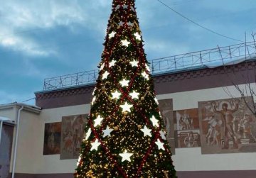 Нижегородцев приглашают поддержать новогодние ели, заявленные от региона во всероссийском конкурсе «Елки России»