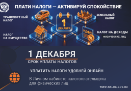 Нижегородцам напоминают о необходимости уплаты налогов до 1 декабря Нижегородцам напоминают о необходимости уплаты налогов до 1 декабря