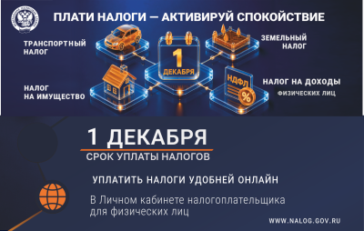Нижегородцам напоминают о необходимости уплаты налогов до 1 декабря