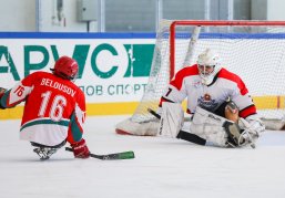 Нижегородская область принимает первый круг чемпионата России по следж-хоккею «Лига героев»