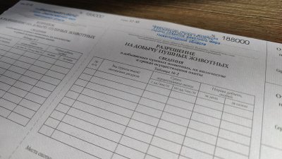 Нижегородский Минлесхоз начал выдавать разрешения на добычу пушных животных