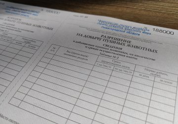 Нижегородский Минлесхоз начал выдавать разрешения на добычу пушных животных