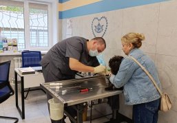 Государственная ветеринарная клиника открылась в Ленинском районе Нижнего Новгорода после ремонта Государственная ветеринарная клиника открылась в Ленинском районе Нижнего Новгорода после ремонта