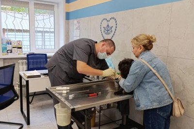 Государственная ветеринарная клиника открылась в Ленинском районе Нижнего Новгорода после ремонта