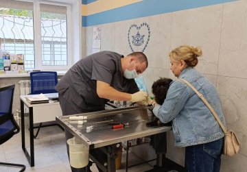 Государственная ветеринарная клиника открылась в Ленинском районе Нижнего Новгорода после ремонта