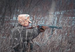 Для контроля популяции хищников в Нижегородской области в 2025 году охотники добыли 60 волков и 215 лисиц