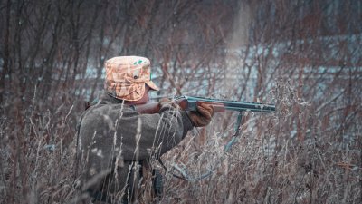 Для контроля популяции хищников в Нижегородской области в 2025 году охотники добыли 60 волков и 215 лисиц