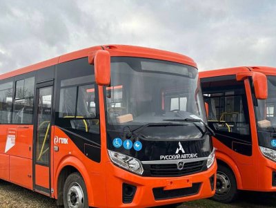 59 автобусов поступило перевозчикам Нижегородской области по программе льготного лизинга