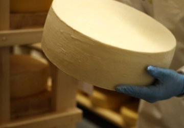 Первый в Нижегородской области производитель сыра присоединился к федеральному проекту «Производительность труда»