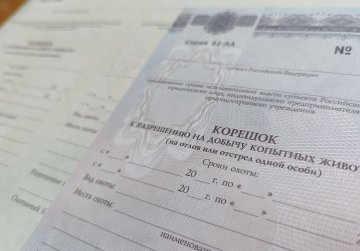 Минлесхоз начал прием заявлений на участие в жеребьевке для добычи копытных животных и бурого медведя Минлесхоз начал прием заявлений на участие в жеребьевке для добычи копытных животных и бурого медведя