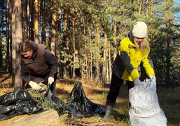 С территории Балахнинского лесничества вывезли 60 кубометров мусора в рамках акции «Чистый лес»