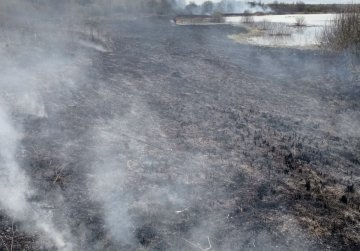 Минлесхоз Нижегородской области напоминает о необходимости соблюдения правил пожарной безопасности в лесу в период майских праздников Минлесхоз Нижегородской области напоминает о необходимости соблюдения правил пожарной безопасности в лесу в период майских праздников