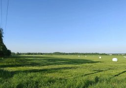 Нижегородские аграрии приступили к заготовке кормов Нижегородские аграрии приступили к заготовке кормов