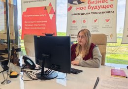 Более 100 бизнес-планов бесплатно подготовили для нижегородских предпринимателей эксперты регионального центра «Мой бизнес»