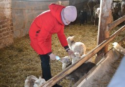 Более 365 миллионов рублей будет направлено на поддержку фермерских хозяйств и сельхозкооперативов в Нижегородской области в 2026 году