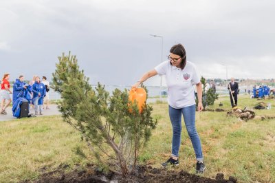 11 сосен высадили на Волжской набережной в Нижнем Новгороде в рамках акции «Сад памяти» 11 сосен высадили на Волжской набережной в Нижнем Новгороде в рамках акции «Сад памяти»