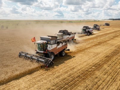 Миллион тонн зерна произведено в Нижегородской области с начала уборочной кампании Миллион тонн зерна произведено в Нижегородской области с начала уборочной кампании