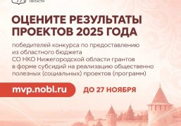 Нижегородцы могут проголосовать за лучшие проекты социально ориентированных НКО 2025 года