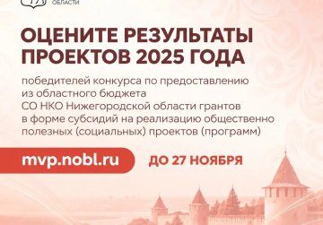 Нижегородцы могут проголосовать за лучшие проекты социально ориентированных НКО 2025 года
