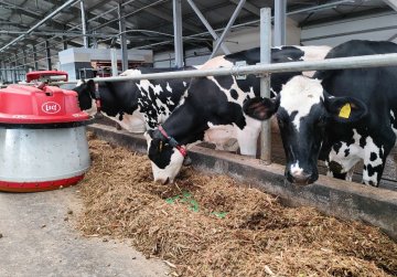 Роботизированная ферма стоимостью 500 млн рублей введена в эксплуатацию в Борском районе