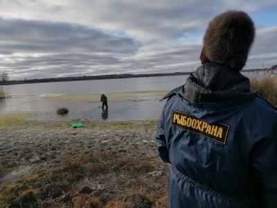 Ученые РАН присоединились к разработке проекта оздоровления реки Пьяны в Нижегородской области