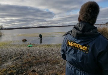 Ученые РАН присоединились к разработке проекта оздоровления реки Пьяны в Нижегородской области Ученые РАН присоединились к разработке проекта оздоровления реки Пьяны в Нижегородской области