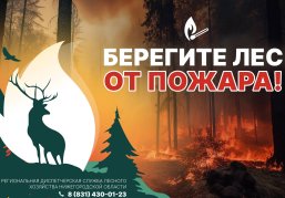 Нижегородский Минлесхоз напоминает о важности соблюдения правил пожарной безопасности в лесах