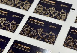 В Нижегородской области состоялась заключительная в 2025 году аттестация экскурсоводов и гидов-переводчиков В Нижегородской области состоялась заключительная в 2025 году аттестация экскурсоводов и гидов-переводчиков